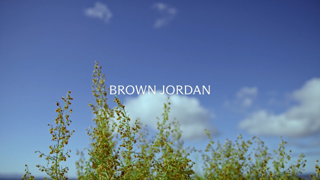 Brown Jordan